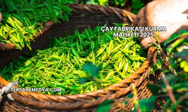 Çay Fabrikası Kurma Maliyeti 2025