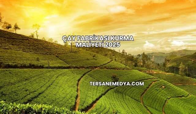 Çay Fabrikası Kurma Maliyeti 2025
