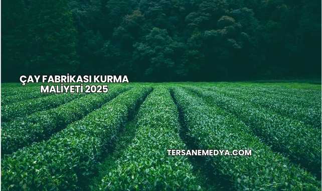 Çay Fabrikası Kurma Maliyeti 2025