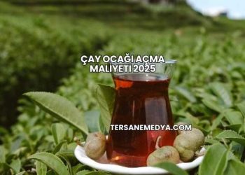 Çay Ocağı Açma Maliyeti 2025