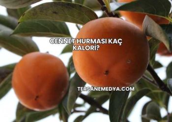 Cennet Hurması Kaç Kalori?