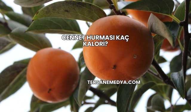 Cennet Hurması Kaç Kalori?