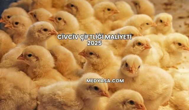 Civciv Çiftliği Maliyeti 2025