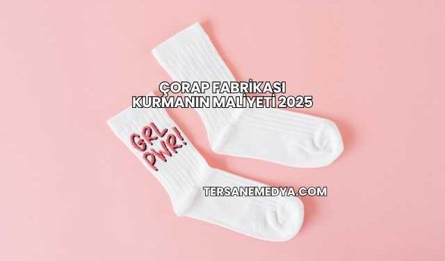 Çorap Fabrikası Kurmanın Maliyeti 2025