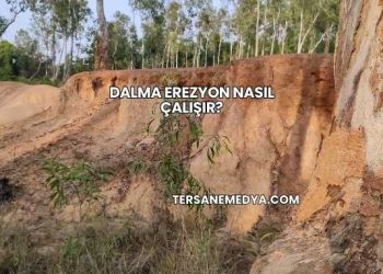 Dalma Erezyon Nasıl Çalışır?