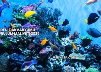 Deniz Akvaryumu Kurulum Maliyeti 2025