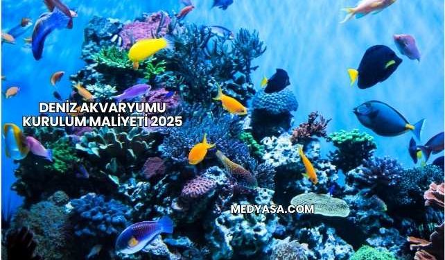 Deniz Akvaryumu Kurulum Maliyeti 2025