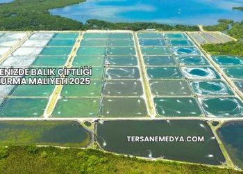 Denizde Balık Çiftliği Kurma Maliyeti 2025