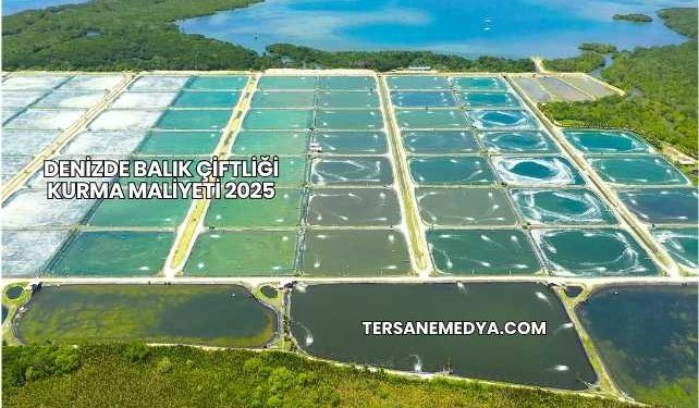 Denizde Balık Çiftliği Kurma Maliyeti 2025