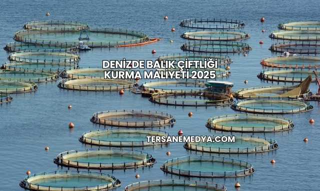 Denizde Balık Çiftliği Kurma Maliyeti 2025