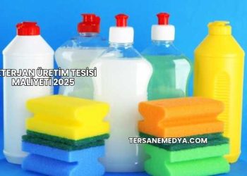 Deterjan Üretim Tesisi Maliyeti 2025