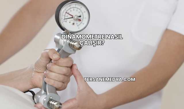 Dinamometre Nasıl Çalışır?