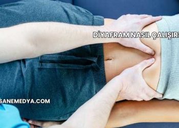 Diyafram Nasıl Çalışır?