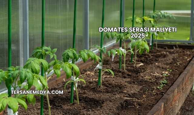 Domates Serası Maliyeti 2025