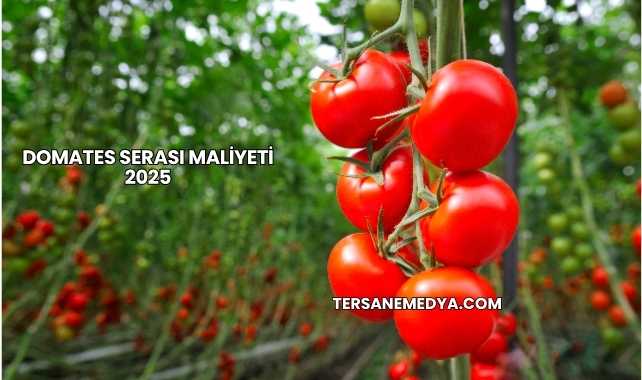 Domates Serası Maliyeti 2025
