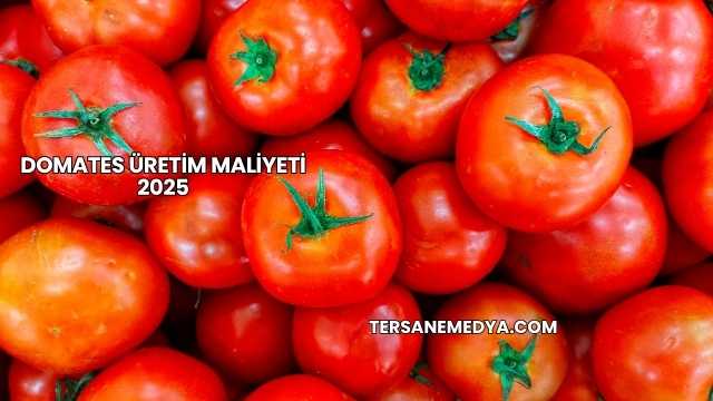 Domates Üretim Maliyeti 2025