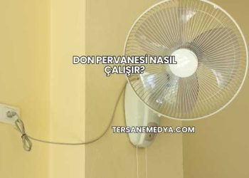 Don Pervanesi Nasıl Çalışır?