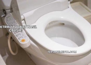 Elektrikli Tuvalet Nasıl Çalışır?