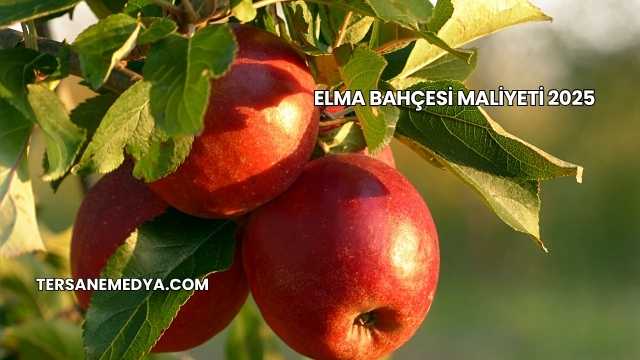 Elma Bahçesi Maliyeti 2025