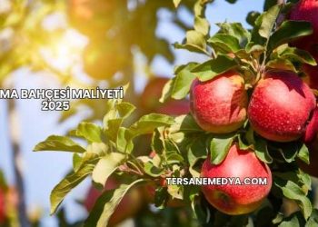 Elma Bahçesi Maliyeti 2025