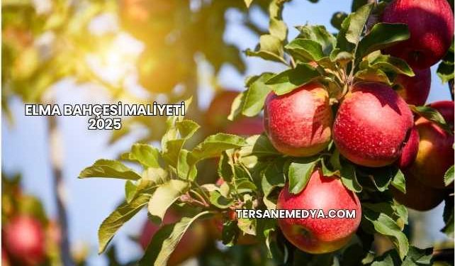 Elma Bahçesi Maliyeti 2025