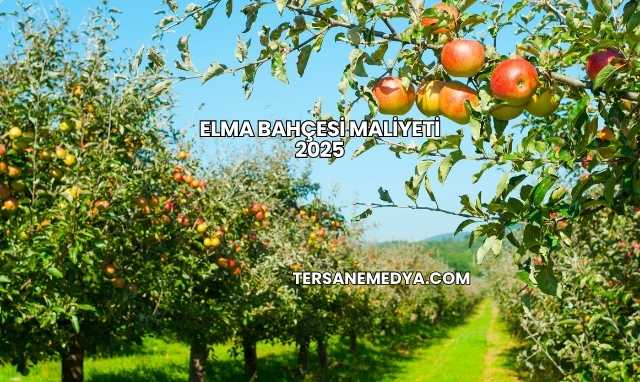 Elma Bahçesi Maliyeti 2025