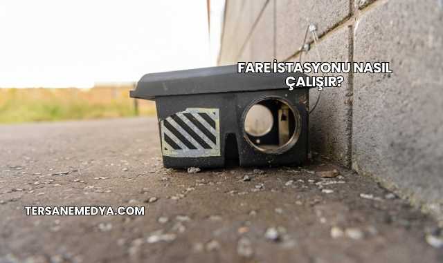 Fare İstasyonu Nasıl Çalışır?