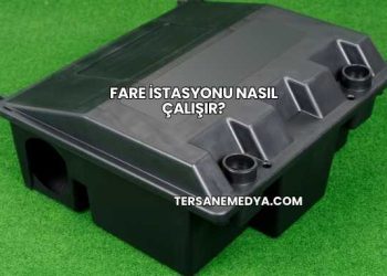 Fare İstasyonu Nasıl Çalışır?