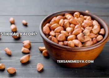 Fıstık Kaç Kalori?