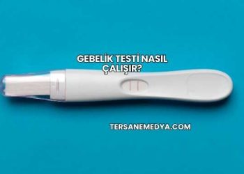 Gebelik Testi Nasıl Çalışır?