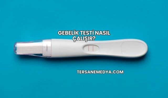 Gebelik Testi Nasıl Çalışır?