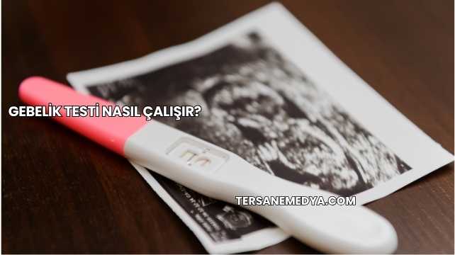 Gebelik Testi Nasıl Çalışır?
