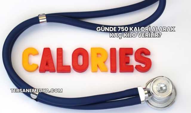 Günde 750 Kalori Alarak Kaç Kilo Verilir?