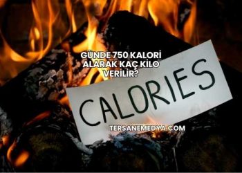 Günde 750 Kalori Alarak Kaç Kilo Verilir?