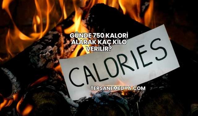 Günde 750 Kalori Alarak Kaç Kilo Verilir?