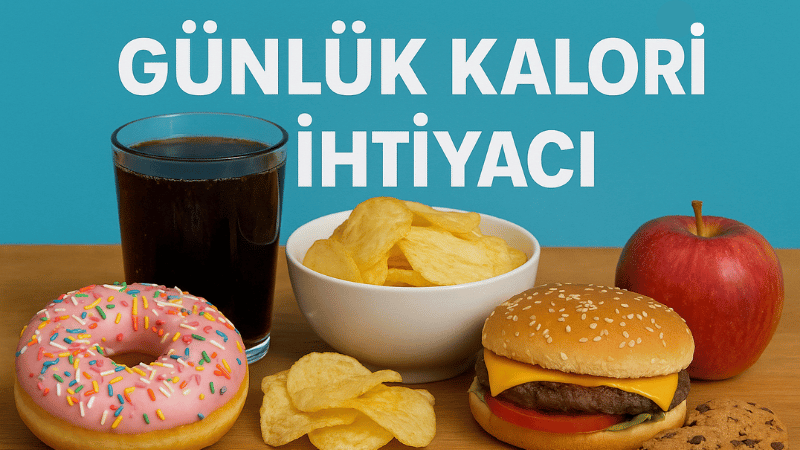 Günlük Kalori İhtiyacı Hesaplama