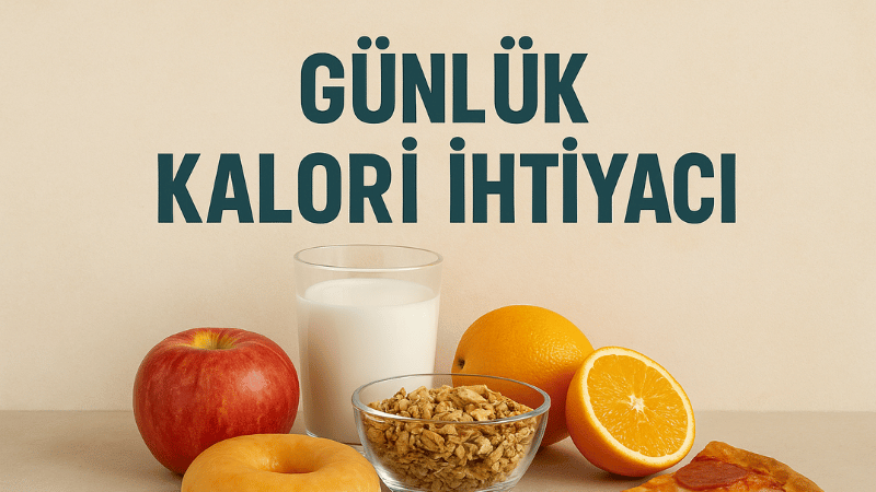 Günlük Kalori İhtiyacı Hesaplama