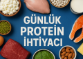 Günlük Protein İhtiyacı Hesaplama