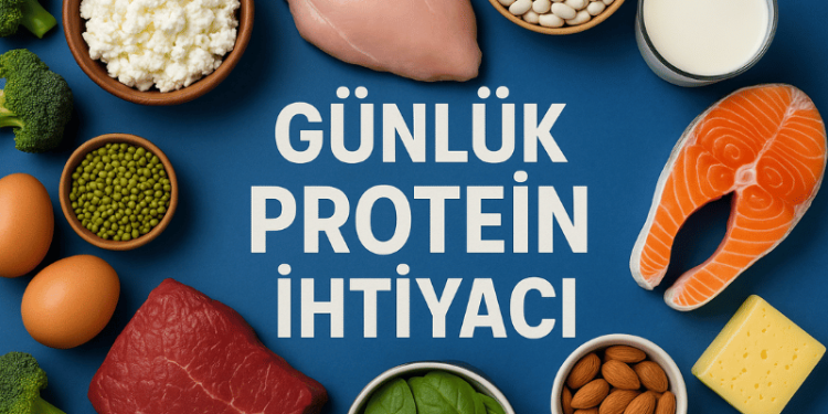 Günlük Protein İhtiyacı Hesaplama