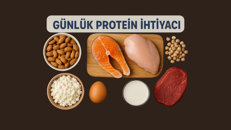 Günlük Protein İhtiyacı Hesaplama