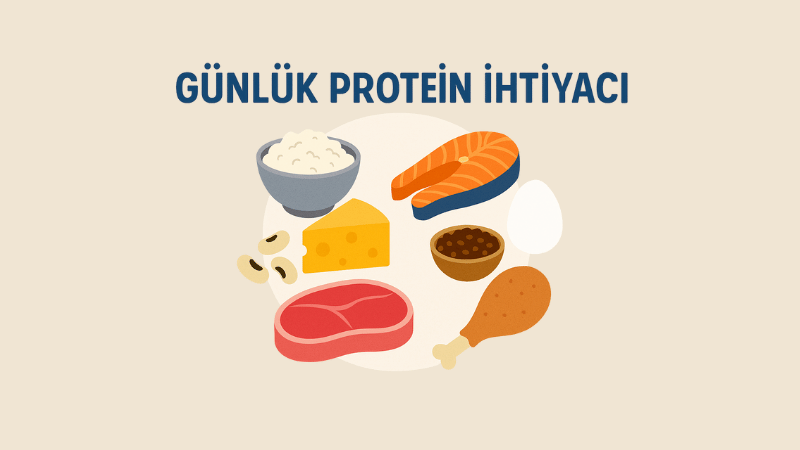 Günlük Protein İhtiyacı Hesaplama
