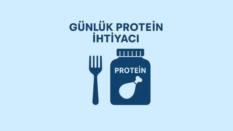 Günlük Protein İhtiyacı Hesaplama