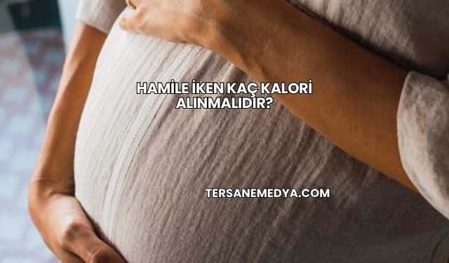 Hamile İken Kaç Kalori Alınmalıdır?