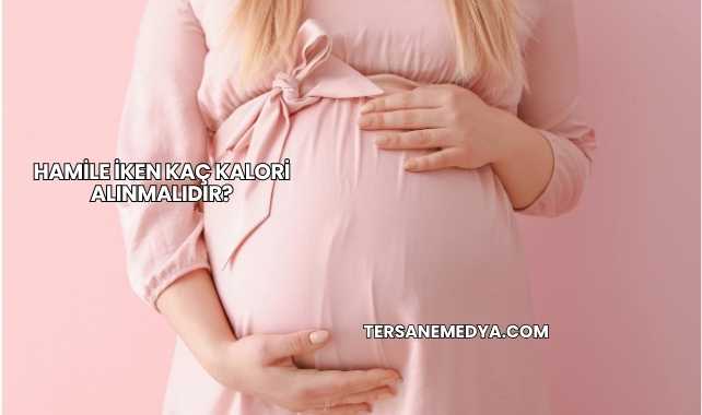 Hamile İken Kaç Kalori Alınmalıdır?
