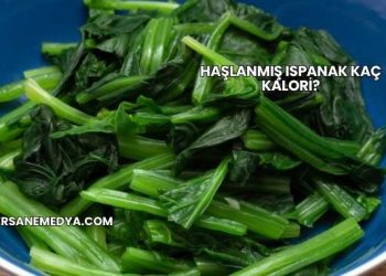 Haşlanmış Ispanak Kaç Kalori?