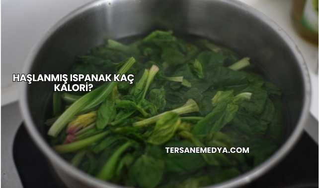 Haşlanmış Ispanak Kaç Kalori?