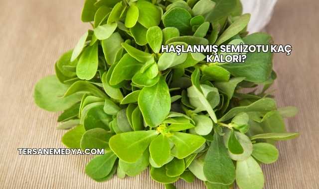 Haşlanmış Semizotu Kaç Kalori?