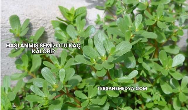 Haşlanmış Semizotu Kaç Kalori?