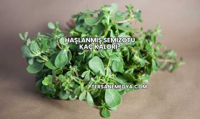 Haşlanmış Semizotu Kaç Kalori?