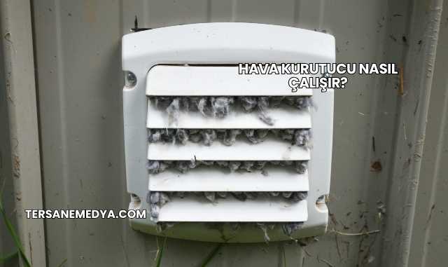 Hava Kurutucu Nasıl Çalışır?